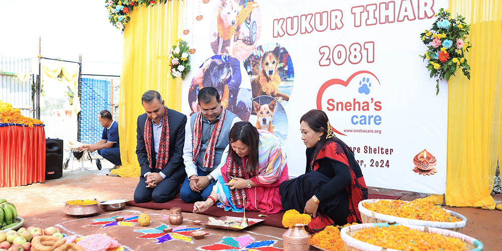 स्नेहाज् केयरमा पुजिए कुकुर  (तस्बिरहरू)  